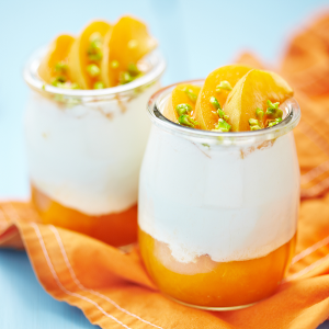 APRICOT PURÉE Fruit Purées