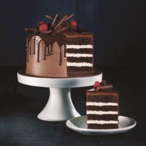 CHOCOLATE RICHCREME BASE Cake, Sponge Cake, Muffins, Brioche & Cookie Mixes
