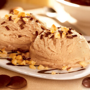 PIEMONTE IGP SCURO (HAZELNUT 100%) Ice Cream and Pastry Pastes