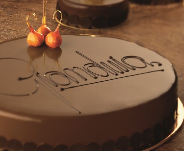 PREMIUM GIANDUIA 40% PIEDMONT HAZELNUTS PGI