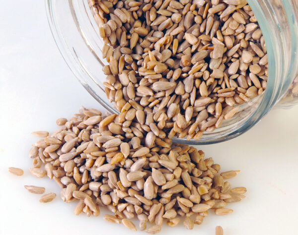 SUNFLOWER SEEDS