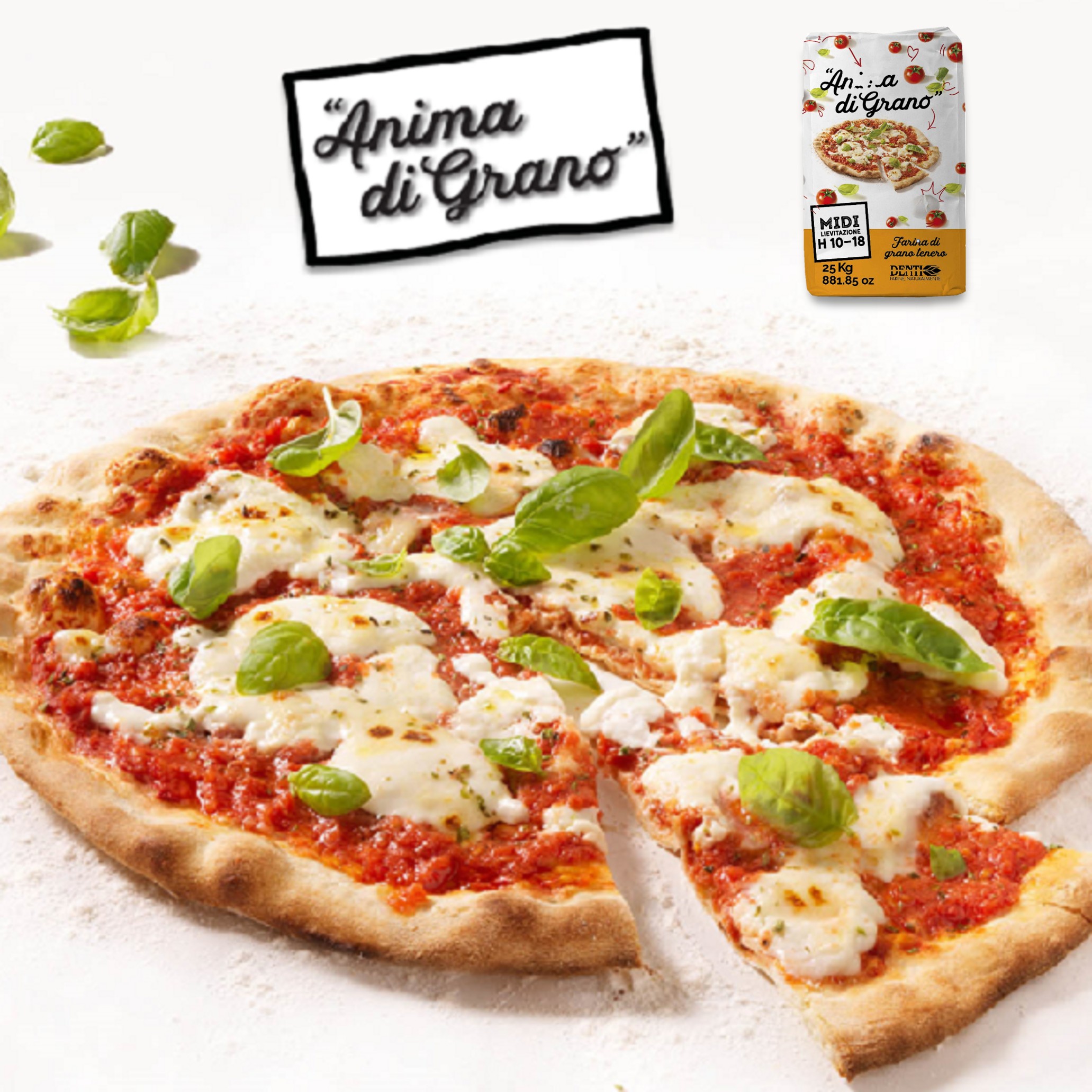 FLOUR FOR PIZZA Coda FLOUR FOR PIZZA TYPE 00 10-18 HOURS ΑΛΕΥΡΙ ΓΙΑ pizza midi 00 10 18 ΩΡΩΝ