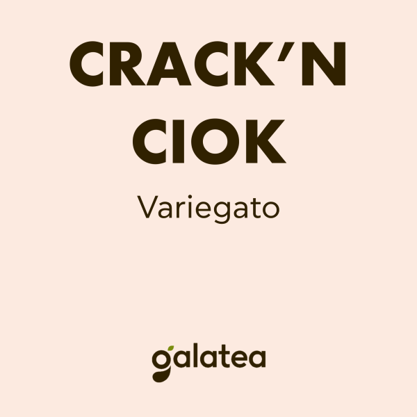 CRACK'N CIOK