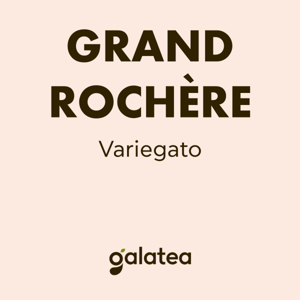 GRAND ROCHÈRE